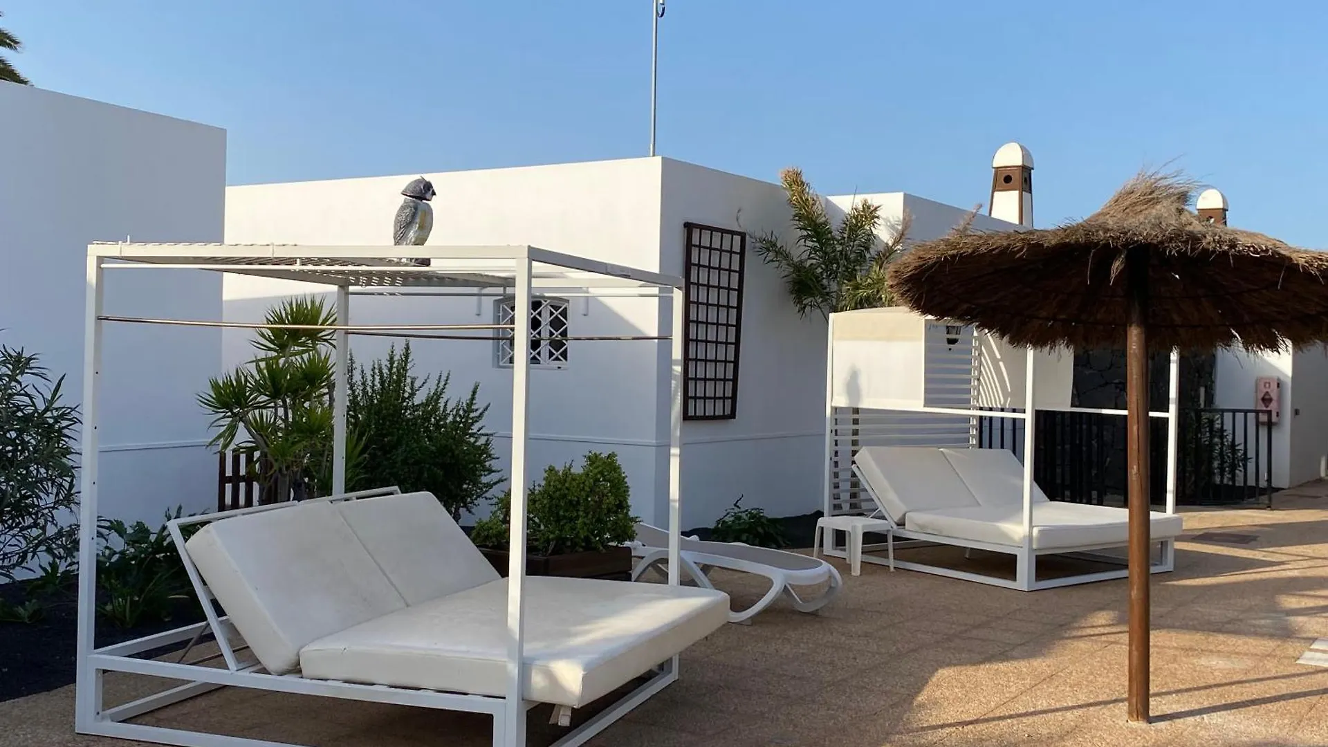 Aparthotel Apartamentos Livvo Coloradamar Playa Blanca